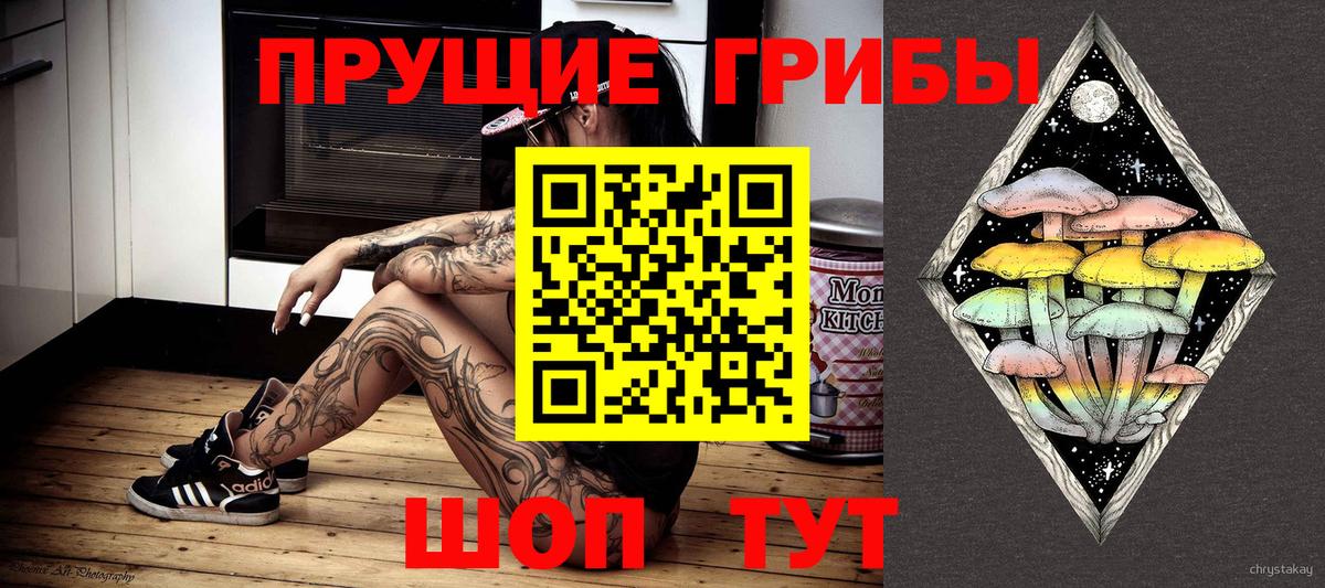 Галлюциногенные грибы Cubensis  Вход с VPN  купить   Семёнов 
