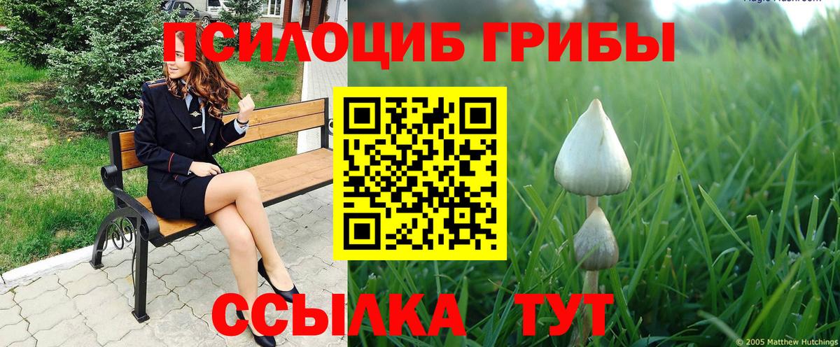 Галлюциногенные грибы ЛСД Семёнов